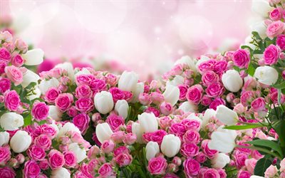 fiori, floral background, tulipani bianchi, rosa, rose