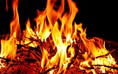 brennholz, feuer, flammen