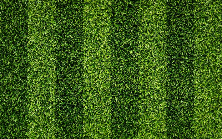 العشب الأخضر, كرة القدم العشب, ملعب كرة القدم, كرة القدم في الملعب
