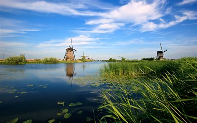 nederländerna, hollands natur, kvarn, vass, sjön, mlini
