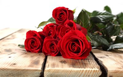 bouquet of roses, a bouquet of roses, red roses