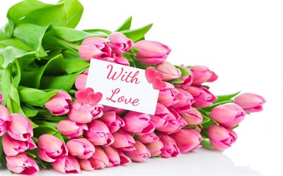 tulipanes de color rosa, rosa tulipanes