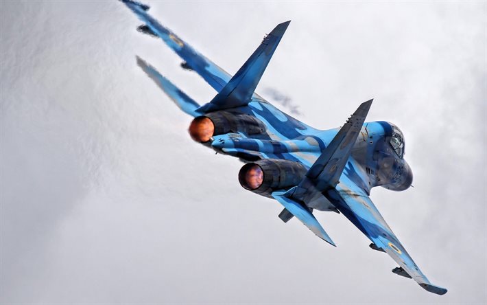the air force of ukraine, fighter, su-27, ukraine