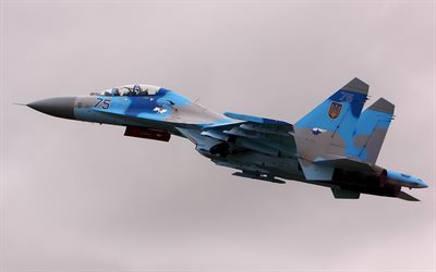 전투기, 공기 힘의 우크라이나, 군대의 우크라이나, 우크라이나, su-27