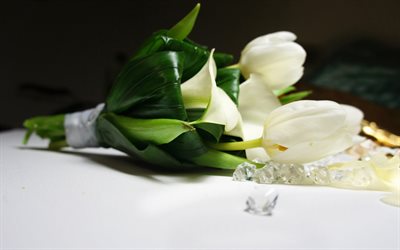 tisch, weiße tulpen, tabelle