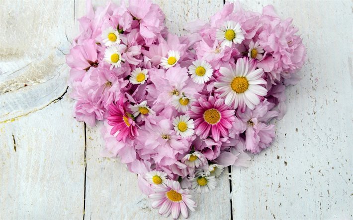pink flowers, floral heart