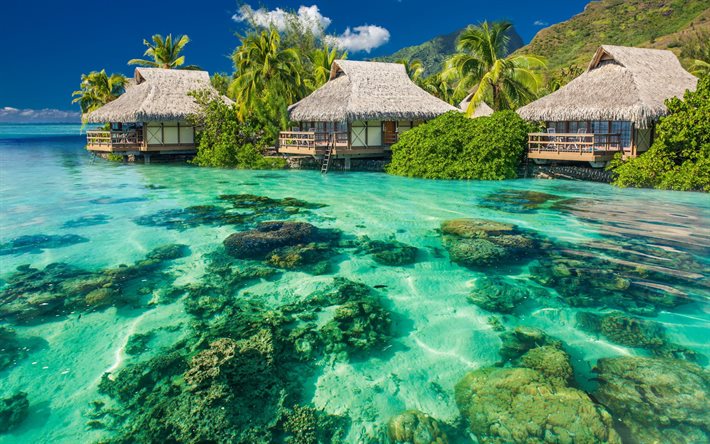 tropik ada, cennet cennet tropikal Adası Deniz bungalov