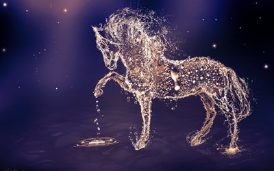 créatif, de l'eau de cheval, cheval de l'eau
