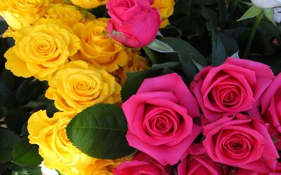 rosas amarillas, rosas, rosas de color rosa, ramo de flores
