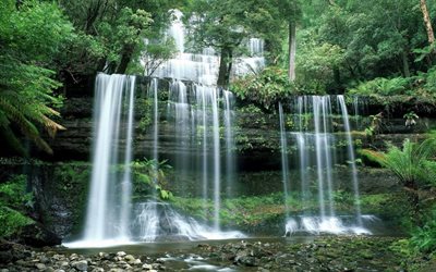 regnskog, privat, foton av vattenfall, vattenfall