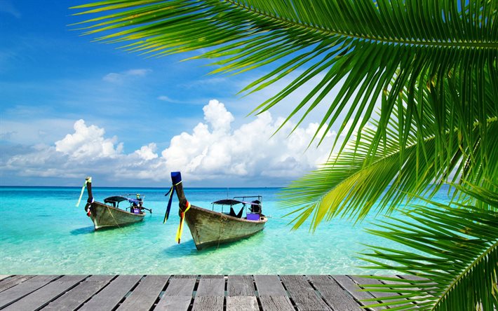 tropisk ö, havet, båtar, palmer