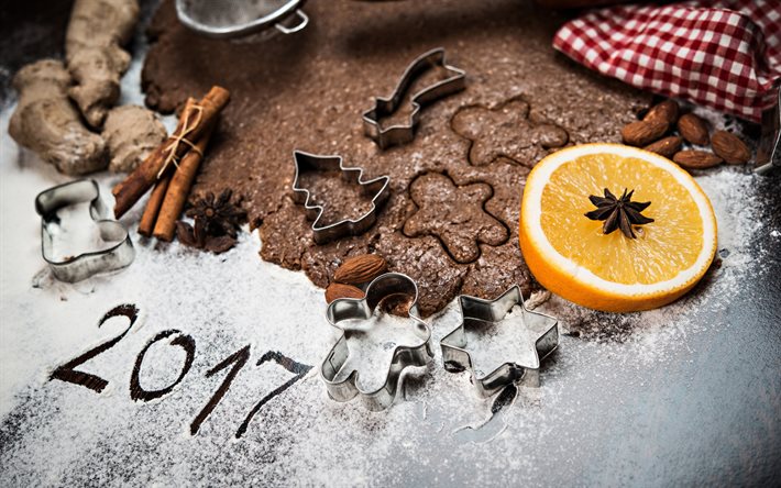 Felice Nuovo Anno 2017, biscotti, fpelsin, cannella, natale, Nuovo Anno