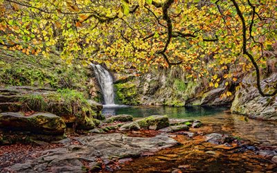 waterfall, autumn landscape, yellow leaves, lake, forest waterfall, autumn, forest
