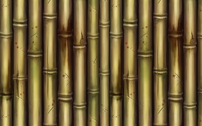 bambu doku, boyalı bambu, bambu ormanı, bambu ile arka plan, doğal dokular, bambu