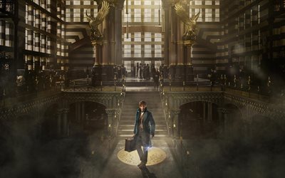 film, Fantastic Beasts, and Where to Find Them, 2016