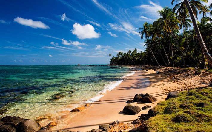plaj, deniz, palmiye ağaçları, cennet tatil