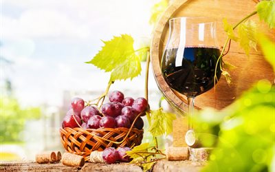 red wine, grapes, wine barrel