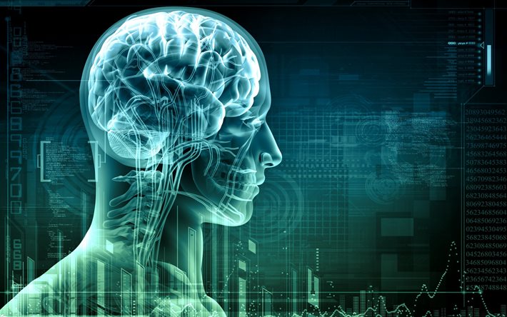 rendering, siluetten av en man, röntga mitt huvud, neon, hjärnan
