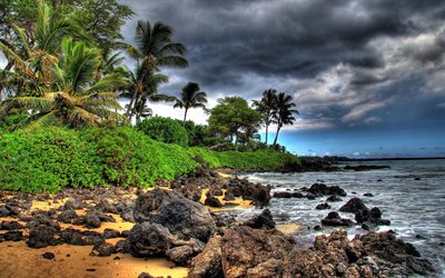 stones, shore, coast, hawaii, maui, island, palm trees
