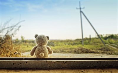 soft toy, teddy bear, waiting, bear, plushevii vedmedik, expectations
