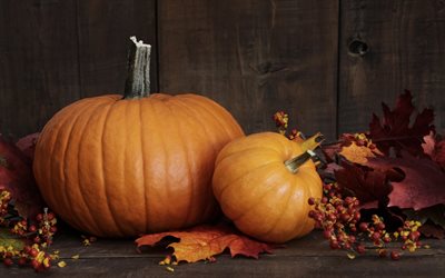 autumn pumpkin, the harvest, gorobyna, rowan
