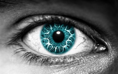 macro yeux, les yeux bleus, l'œil humain