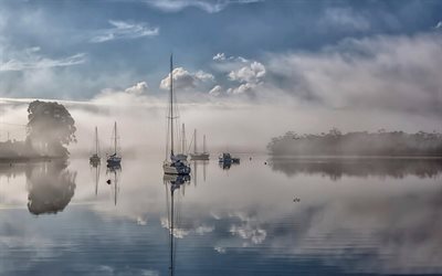 tasmania, fog, yachts, bay, morning, australia