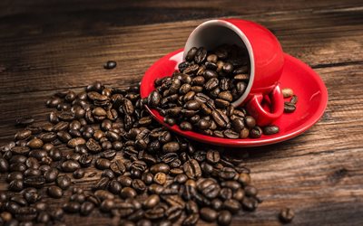 les grains de café, tasse rouge, café