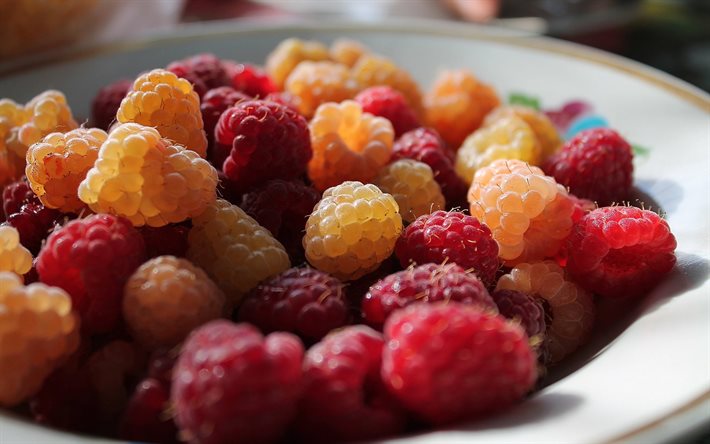 raspberry, yellow raspberries, berries