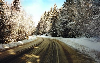 l'hiver, la neige, la glace sur le chemin, forêt enneigée, la glace, la route a été givré de plus, huilé