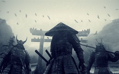 krigare, samurajer, mörker