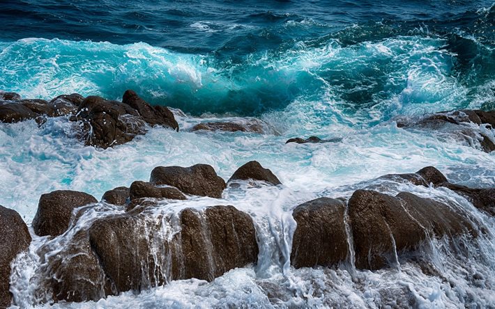 موجة, العاصفة, الحجارة, الشاطئ