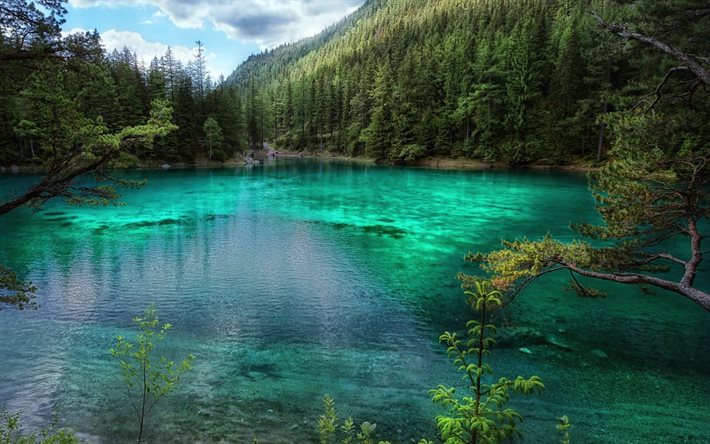 lac vert, de la nature unique, gruner lac, gruner voir, essaie