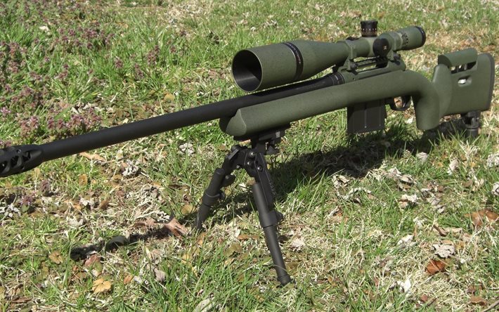 the savage 110, photo of weapons, sniper rifle, modern rifles