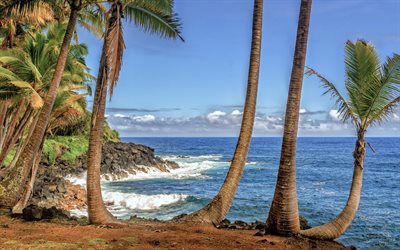 तट, hawaii, संयुक्त राज्य अमेरिका में, उष्णकटिबंधीय द्वीप, फोटो