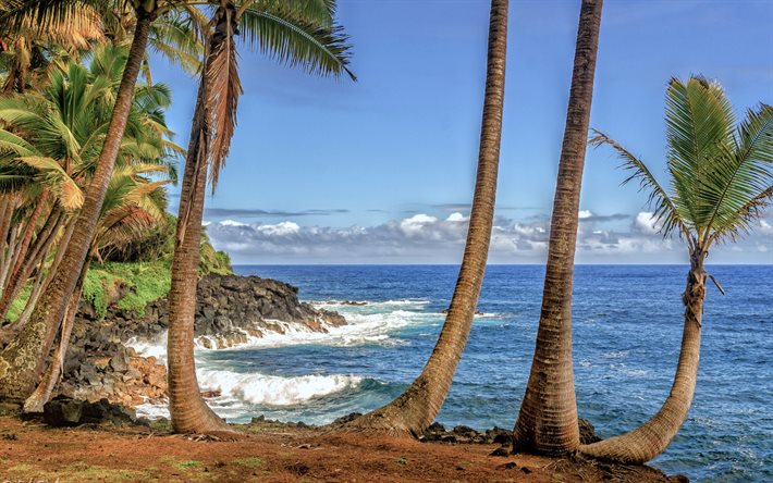 तट, hawaii, संयुक्त राज्य अमेरिका में, उष्णकटिबंधीय द्वीप, फोटो