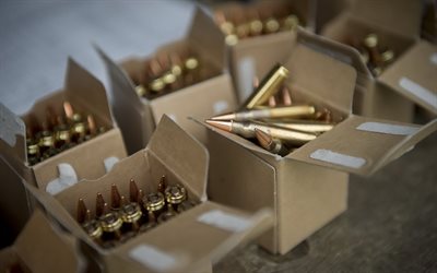 cartridges, weapons