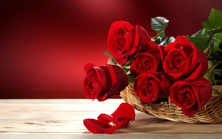 गुलाब के गुलदस्ते, गुलाब के फूल के गुलदस्ते, गुलाब, लाल गुलाब, गुलाब पोलैंड