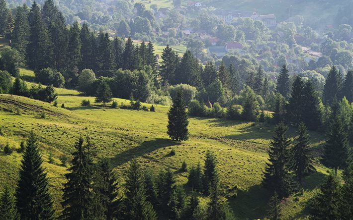 산, mizhgirya district, transcarpathian 지역, gori, 우크라이나, carpathians, polonyna