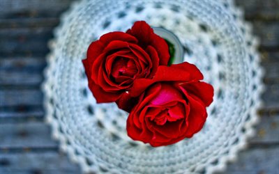 दो गुलाब के फूल, लाल गुलाब