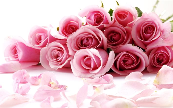 kukkakimppu, vaaleanpunaisia ruusuja, monia värejä
