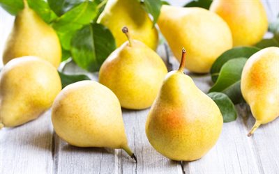 ripe pear, ripe fruit, pears, photo of pears