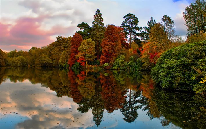 outono, floresta, o lago, floresta de outono