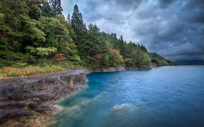 hdr, ask, the lake shore, coniferous forest