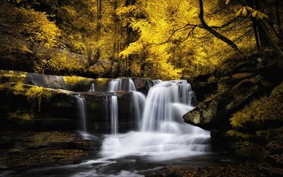 autunno, pietre, foto, foresta, cascata, giallo alberi, privato