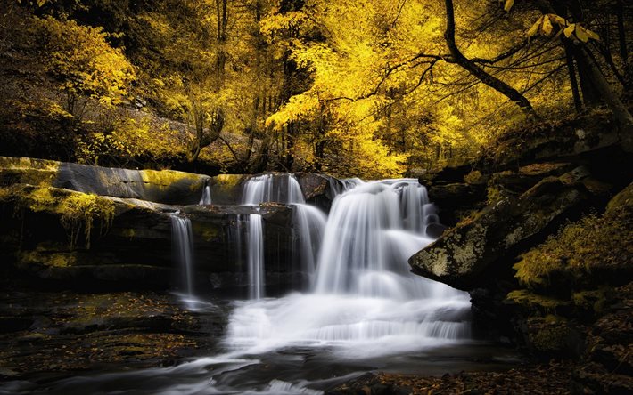 autumn, stones, photo, forest, waterfall, yellow trees, private