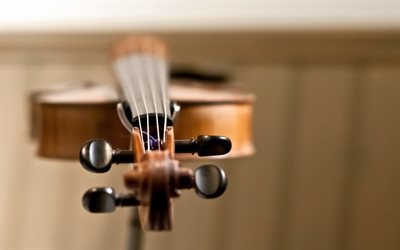 macro, violin, strings