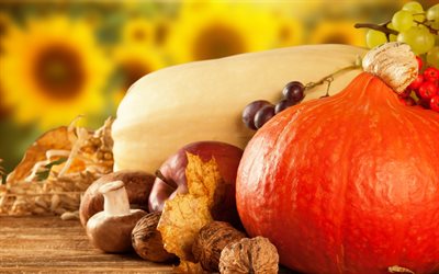 la calabaza, las frutas, las manzanas maduras, el otoño de la cosecha, garbuz, fruta