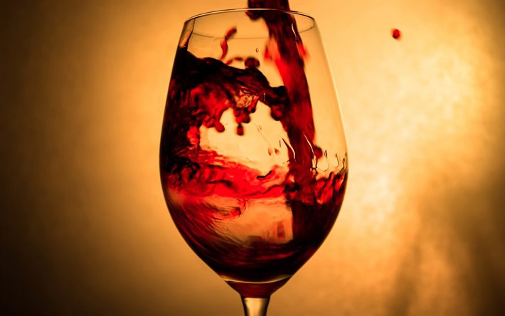 vino tinto, un vaso de vino, foto de vino