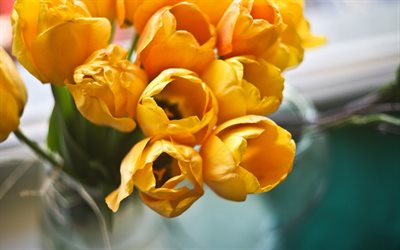 un beau bouquet, des fleurs jaunes, des tulipes jaunes, les tulipes
